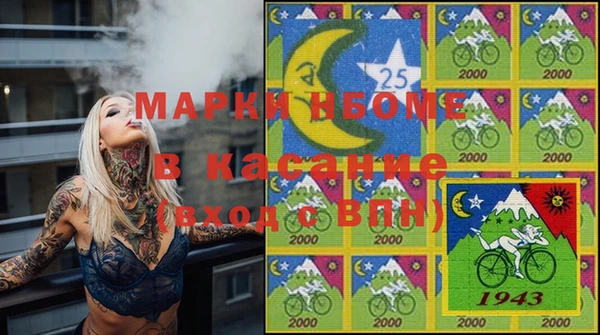 сатива Елабуга