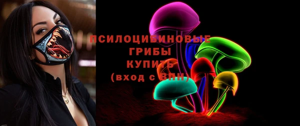 прущая мука Ельня