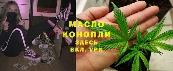 сатива Елабуга