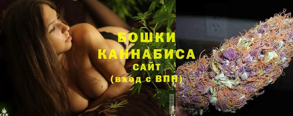 сатива Елабуга