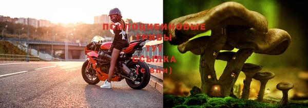 прущая мука Ельня