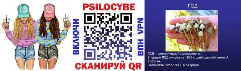 Галлюциногенные грибы Psilocybine cubensis  мега рабочий сайт  Канск 